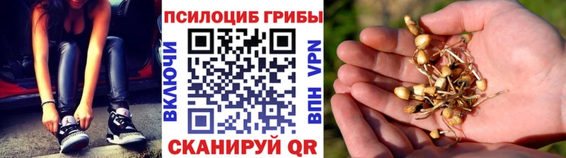 Псилоцибиновые грибы MAGIC MUSHROOMS  shop формула  Пыть-Ях  MEGA ссылки 
